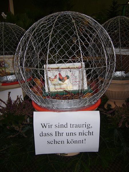 Ortsschau Langenberg 2008 099.jpg - Auswirkungen der Aufstallungspflicht im Dezember